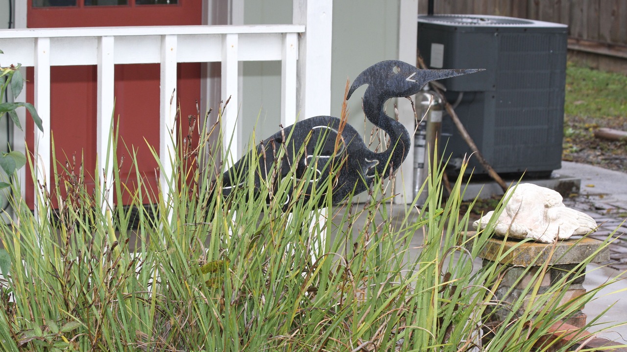 Photo of Outdoor in Old Town