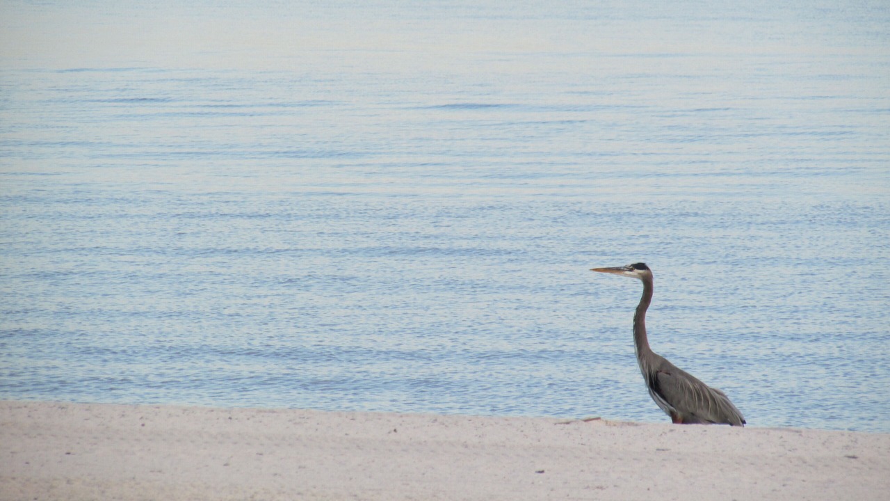 Photo of Others in Biloxi