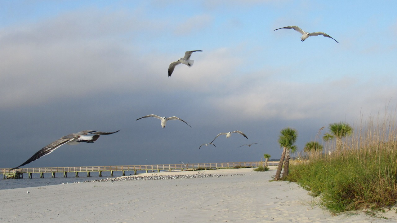 Photo of Others in Biloxi