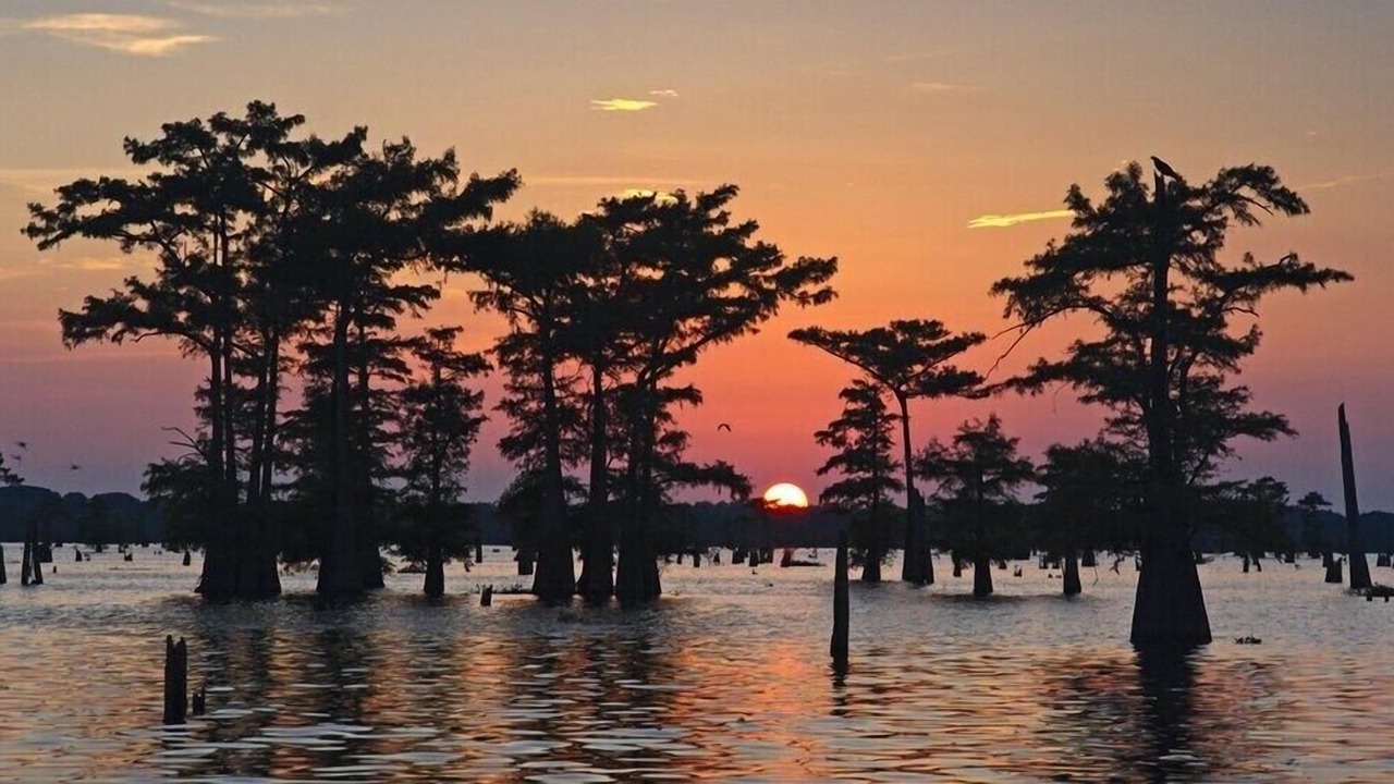 Photo of Others in Atchafalaya