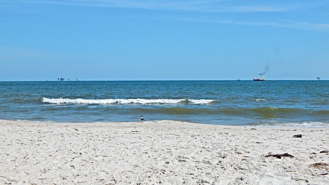 Photo of Others in Dauphin Island