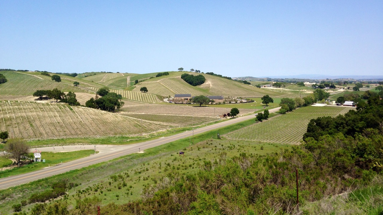 Photo of Others in Paso Robles