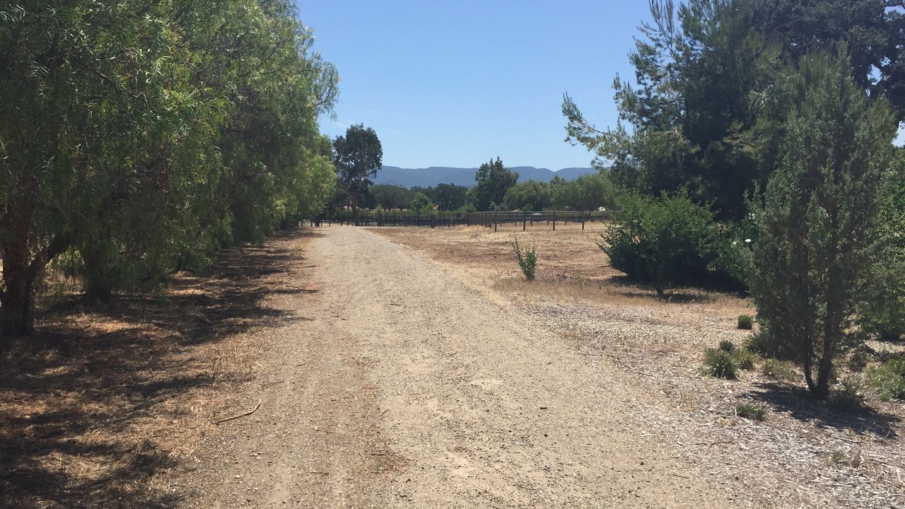 Photo of Others in Santa Ynez
