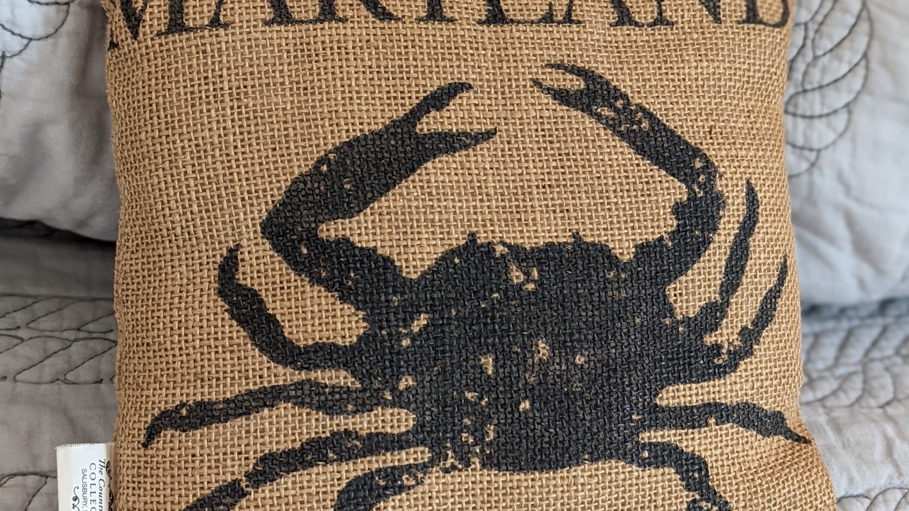 Photo of Others in Dameron