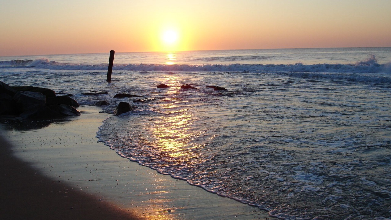 Photo of Others in Ocean City