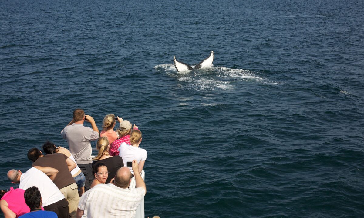 Photo of Others in Brewster