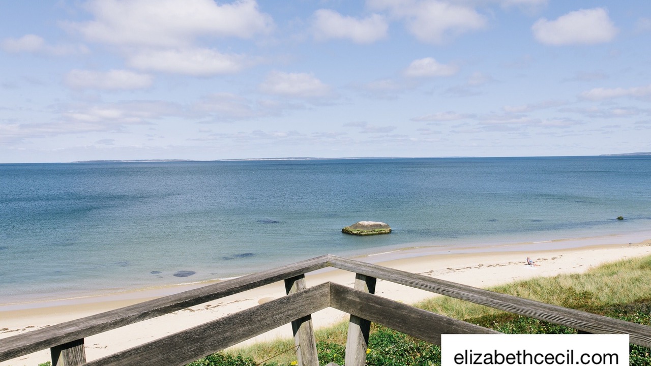 Photo of Others in Aquinnah