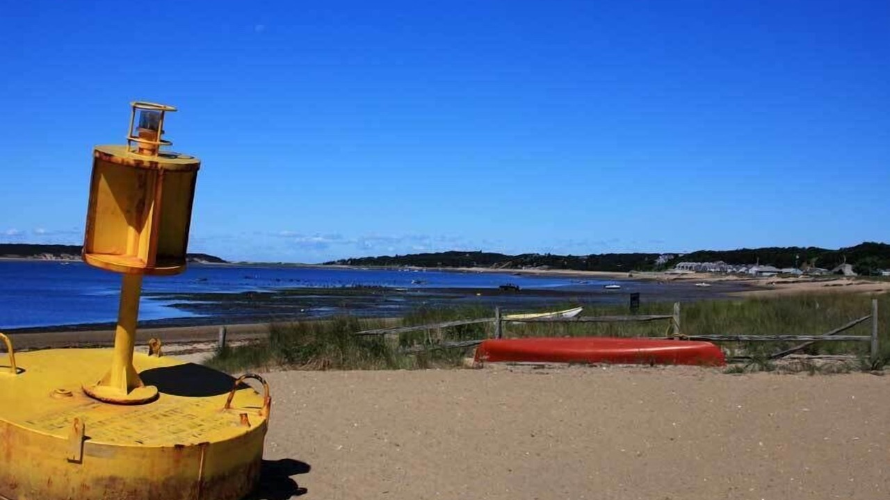 Photo of Others in Wellfleet