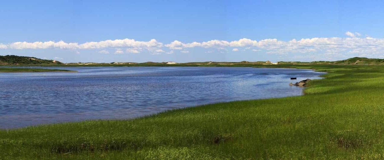 Photo of Others in Wellfleet