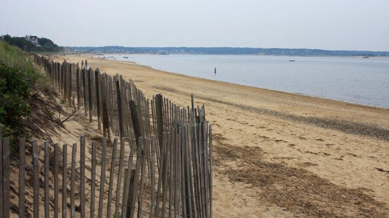 Photo of Others in Wellfleet