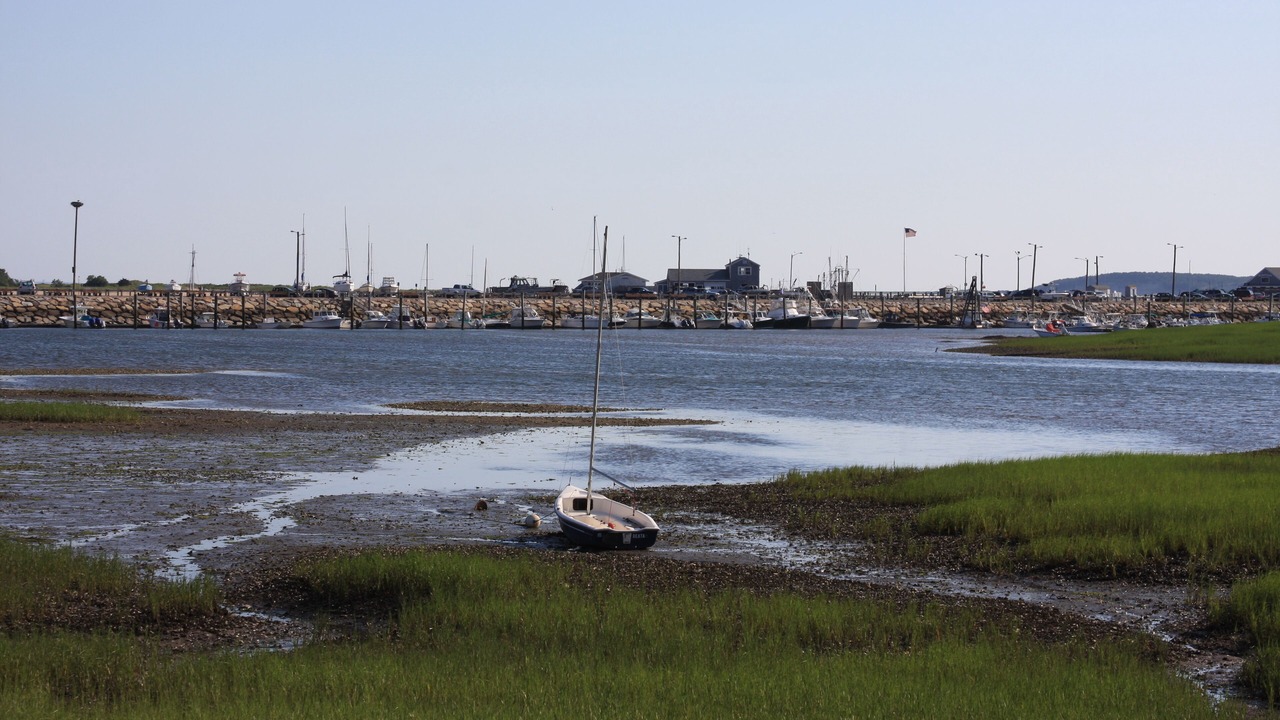 Photo of Others in Wellfleet