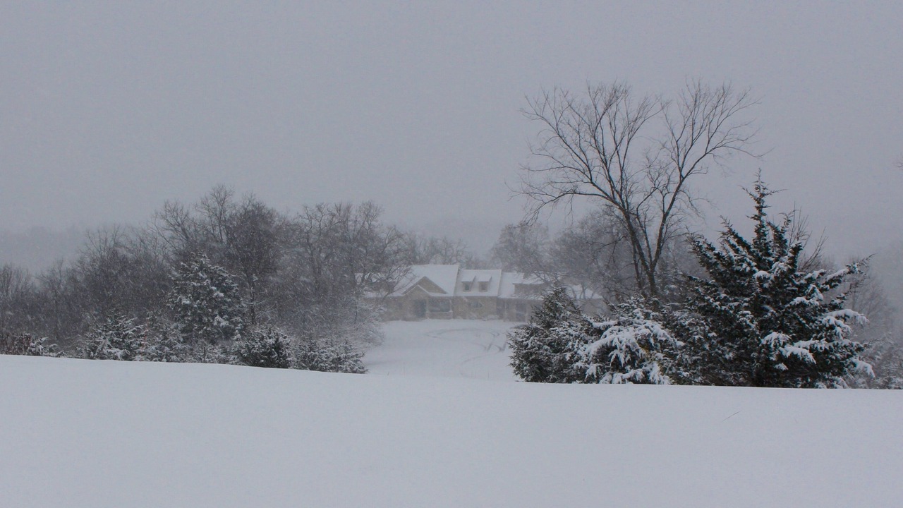 Photo of Outdoor in The Galena Territory