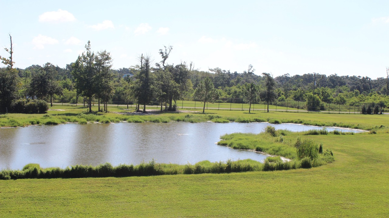 Photo of Others in Henderson Point