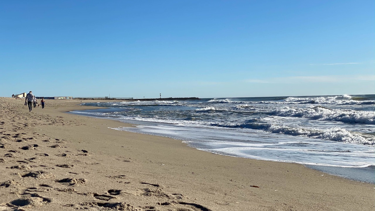 Photo of Others in Silver Strand