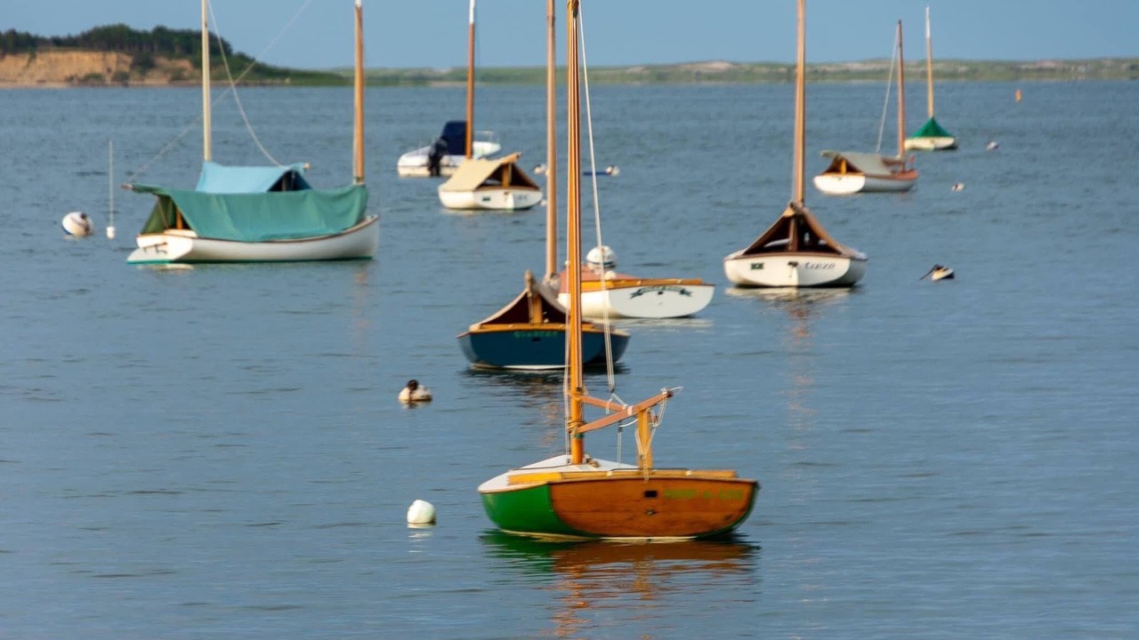 Photo of Others in South Chatham