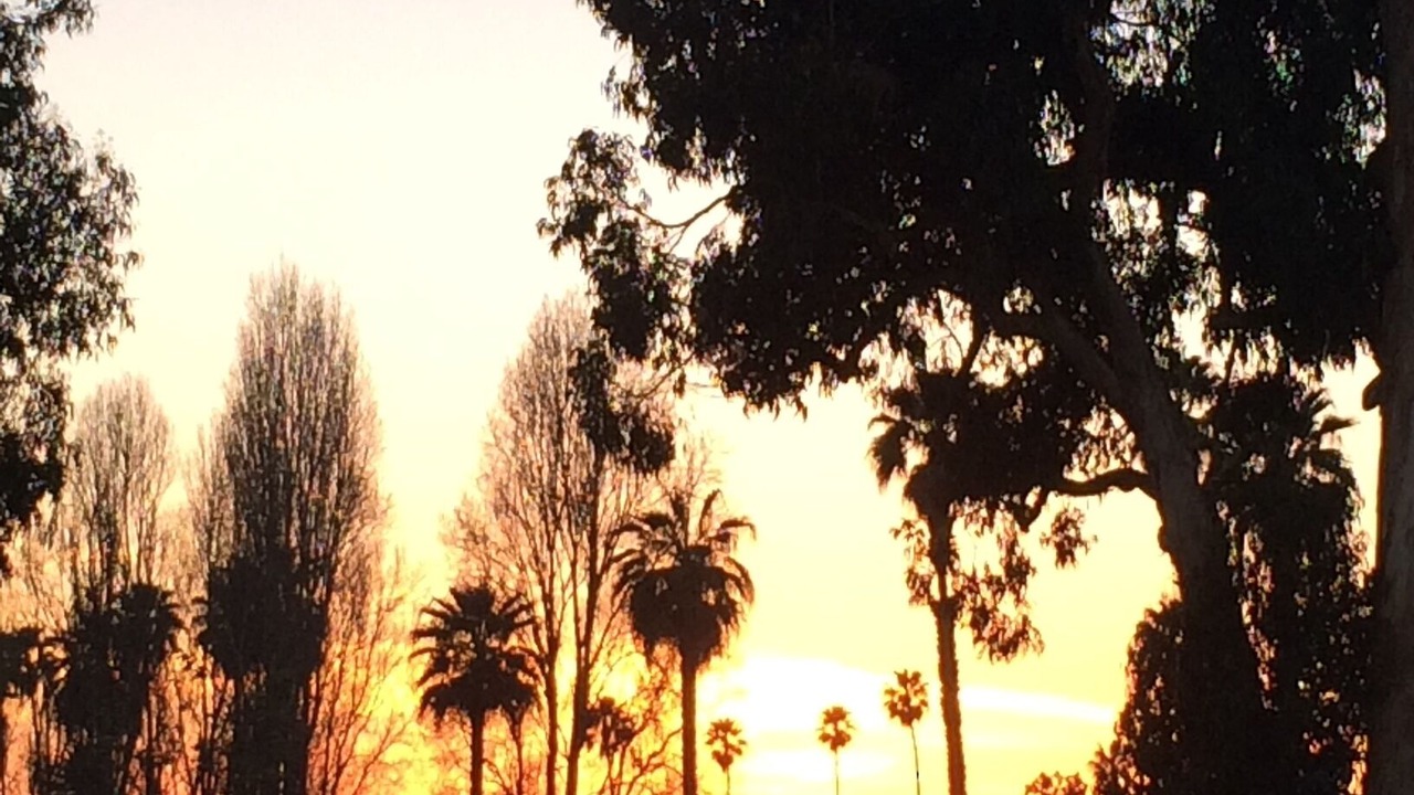 Photo of Others in Carpinteria