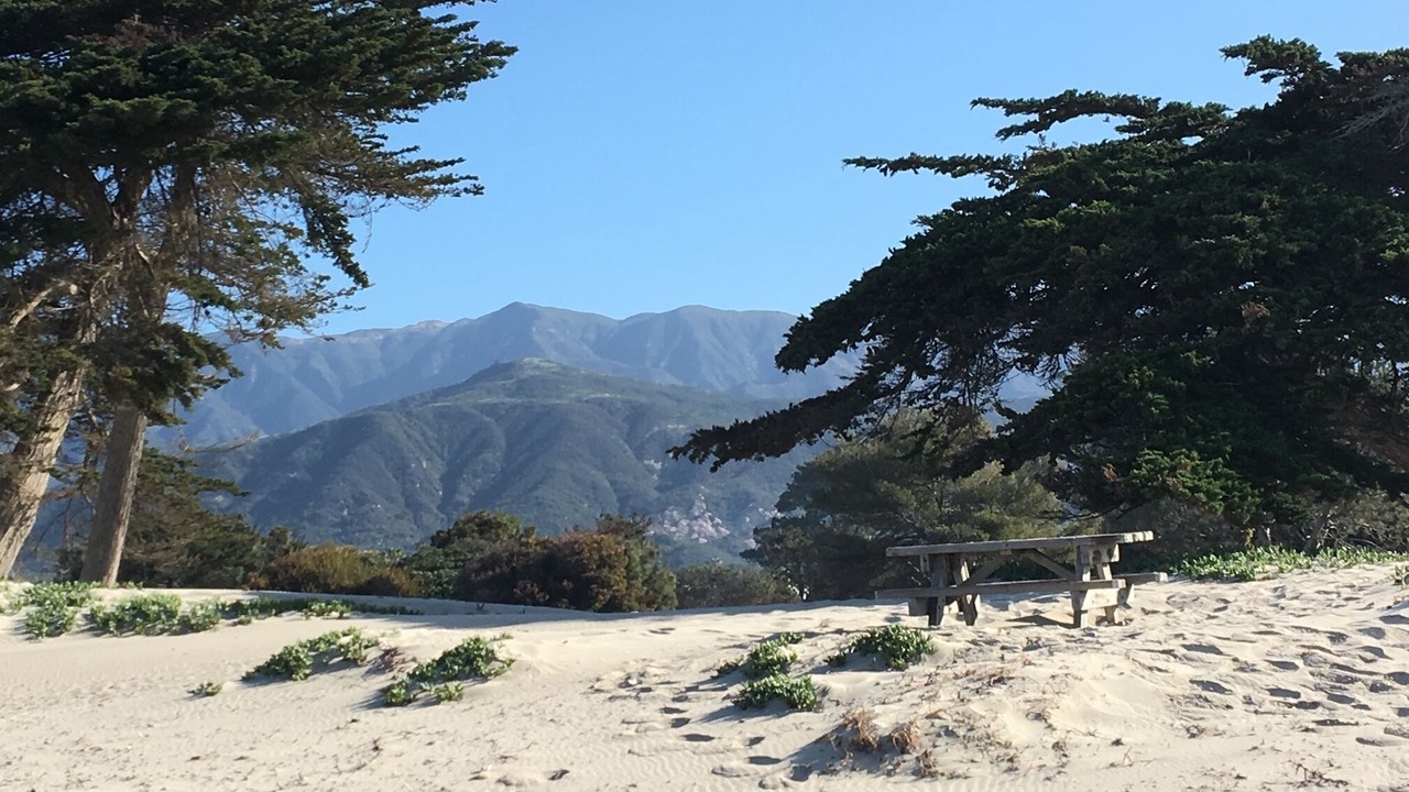 Photo of Others in Carpinteria
