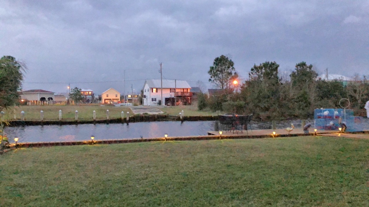 Photo of Others in Shoreline Park