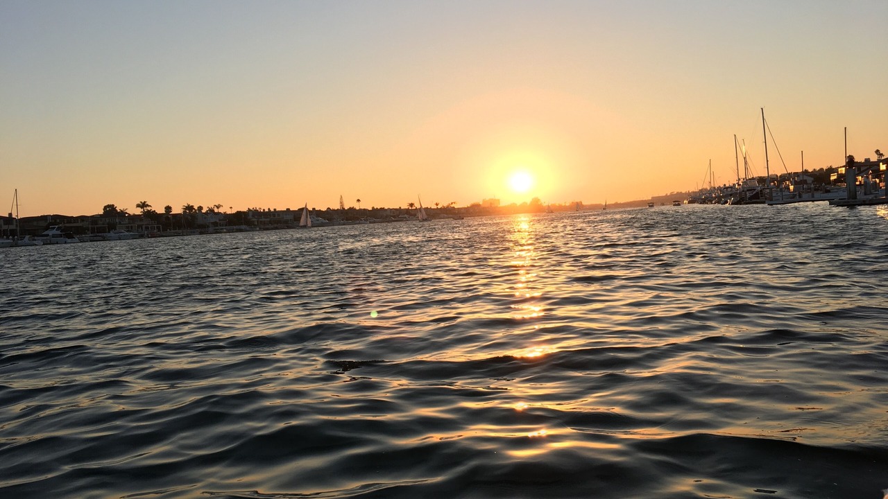 Photo of Others in West Newport