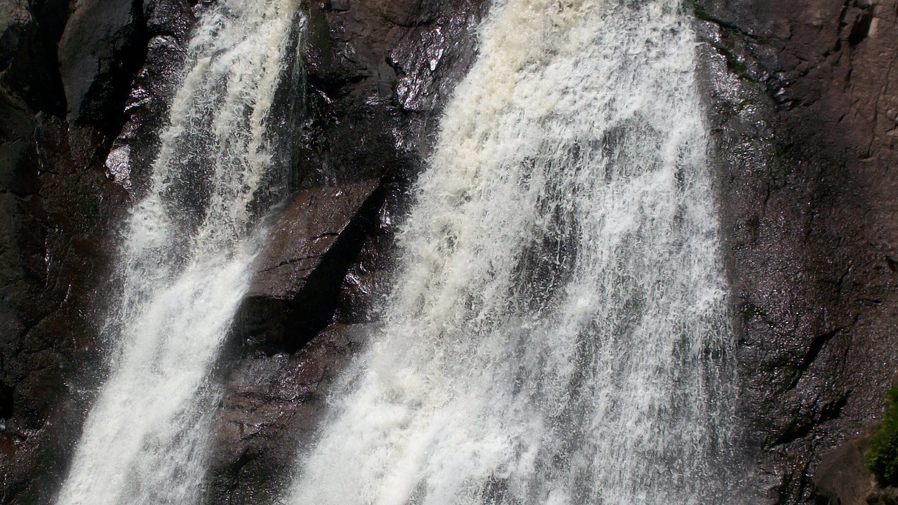 Photo of Others in Silver Bay