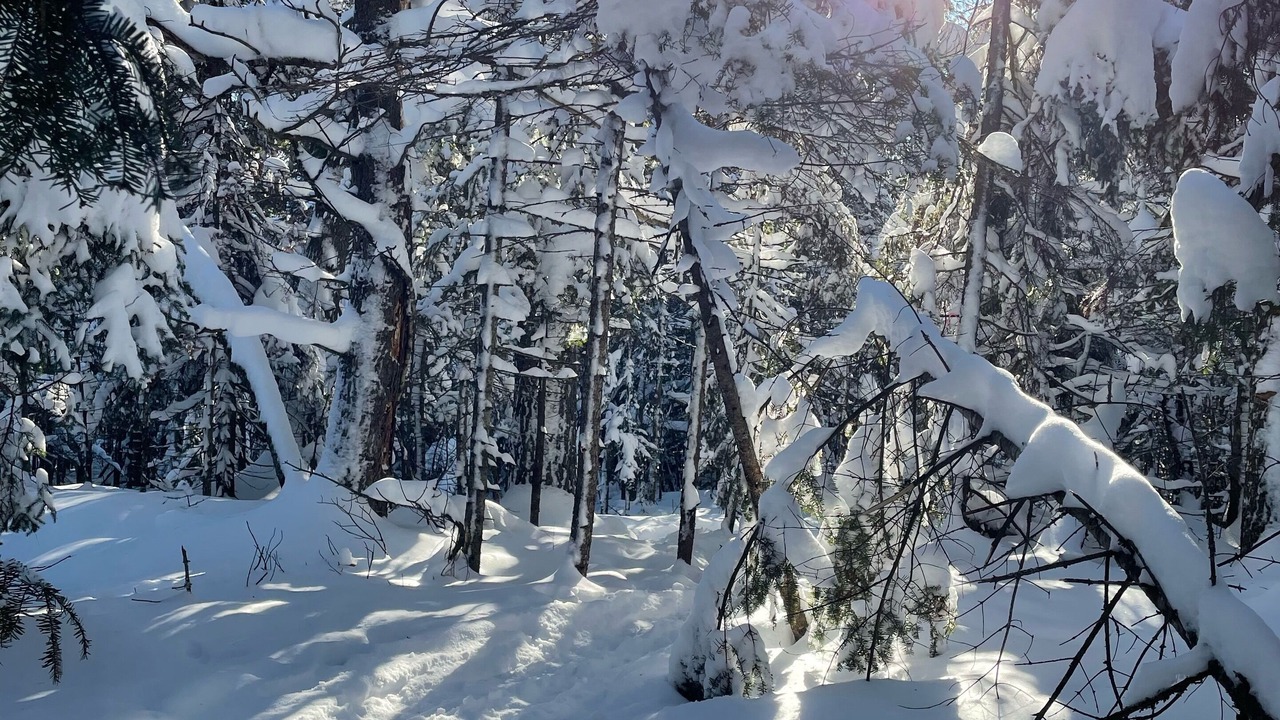 Photo of Outdoor in Silver Bay