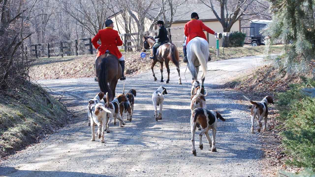 Photo of Others in Philomont