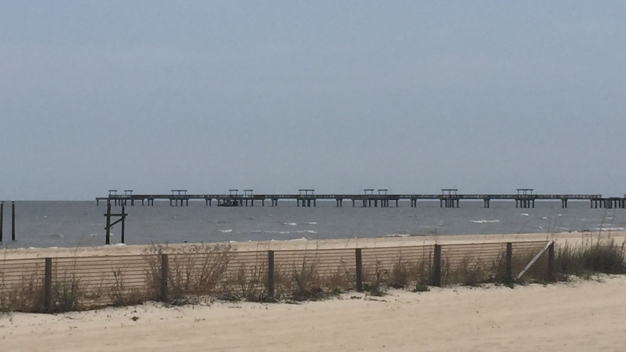 Photo of Others in Waveland