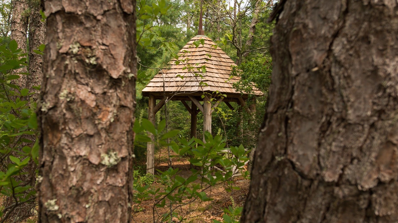 Photo of Outdoor in South Orleans