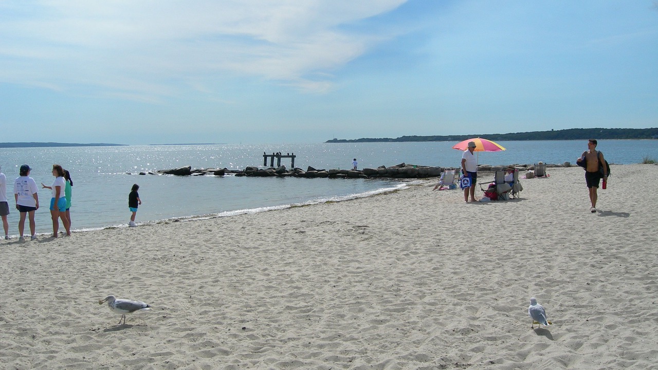 Photo of Others in Falmouth