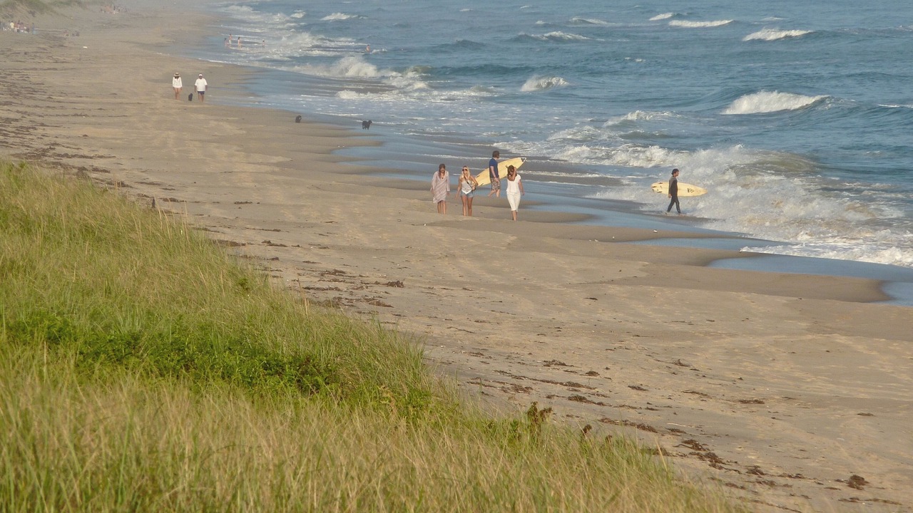 Photo of Others in Chilmark