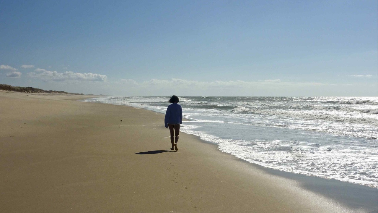 Photo of Others in Chilmark