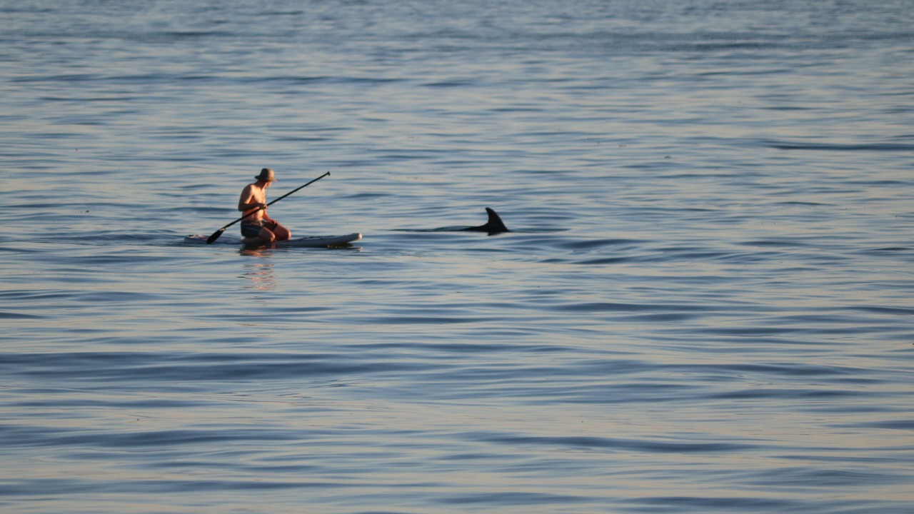 Photo of Others in Carpinteria