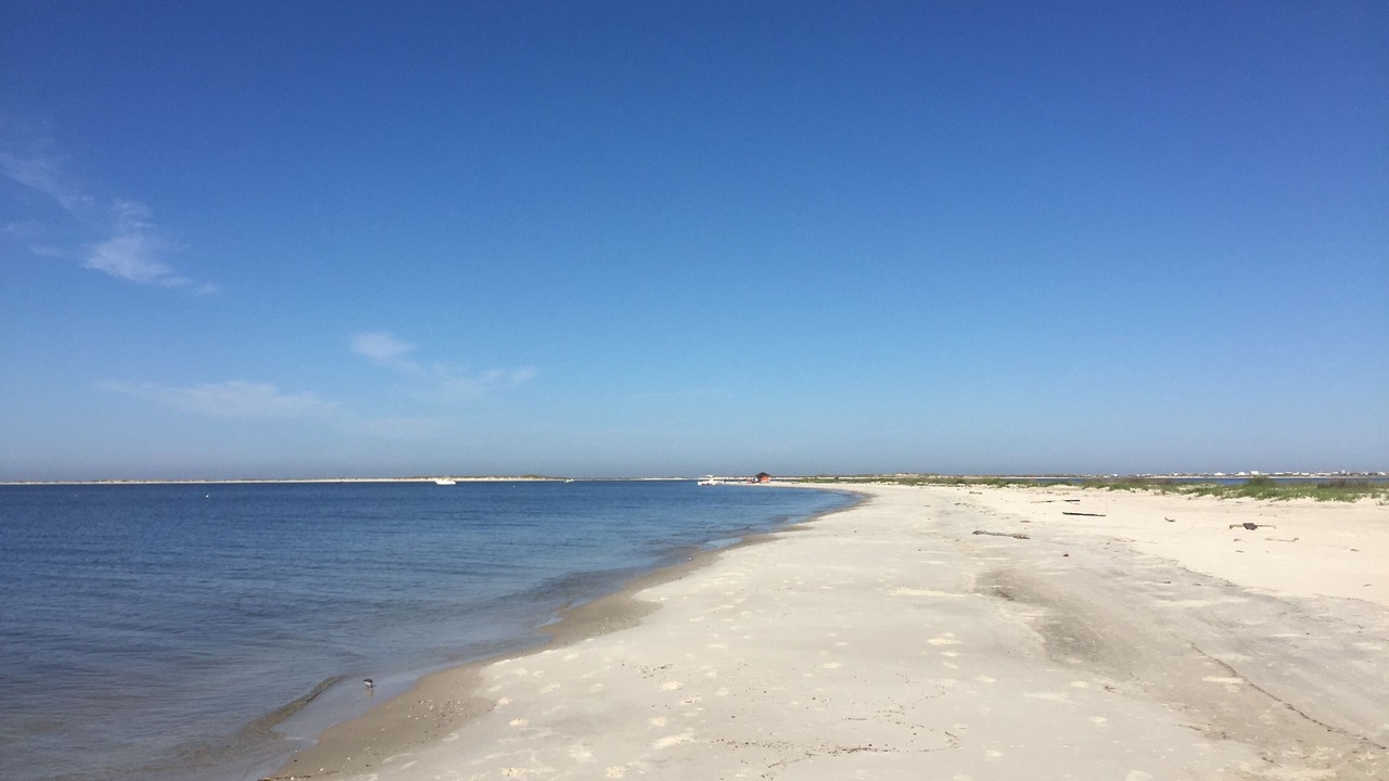 Photo of Others in Dauphin Island