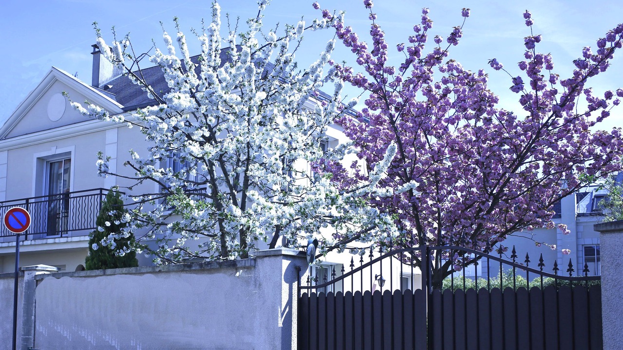 Photo of Outdoor in Nogent Village
