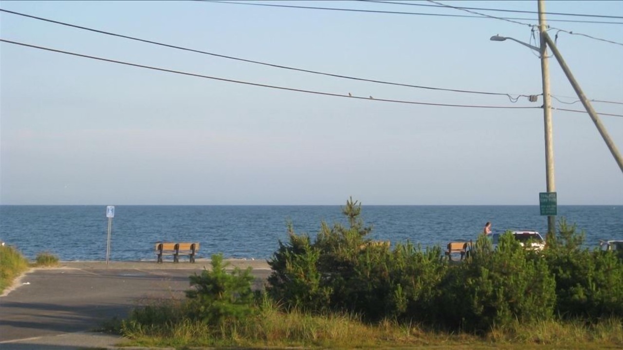Photo of Others in South Yarmouth