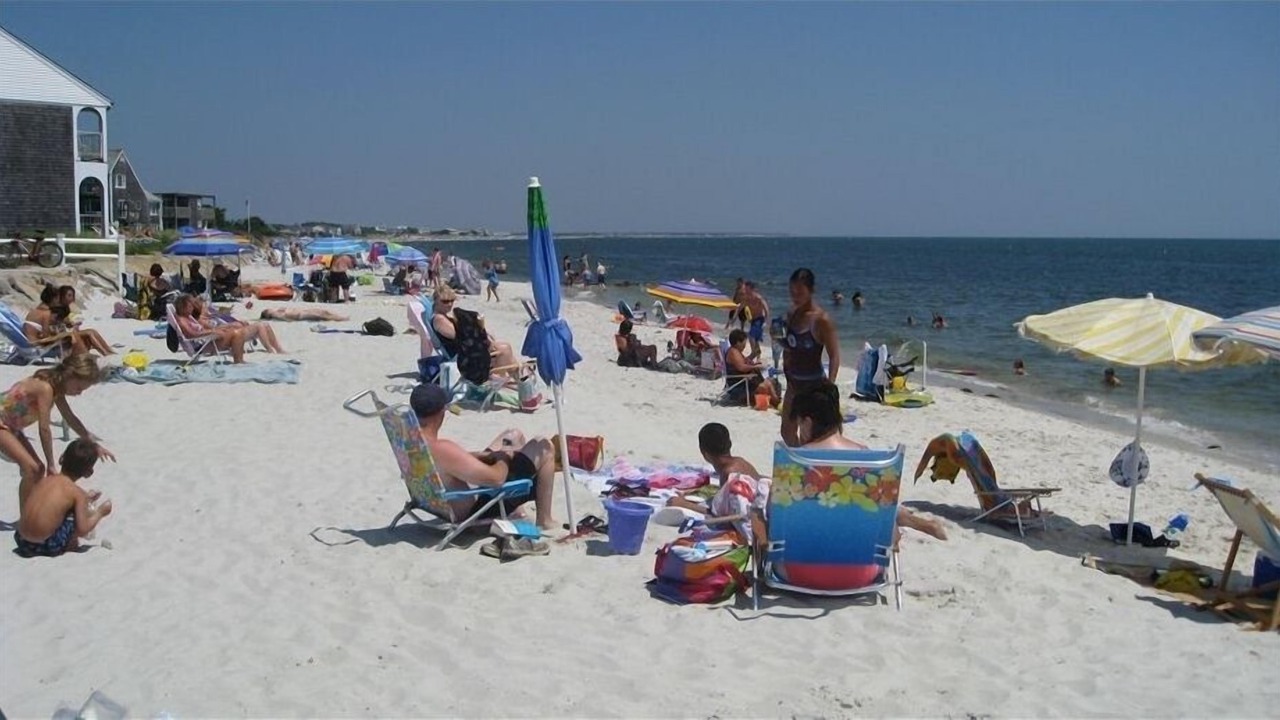 Photo of Others in South Yarmouth