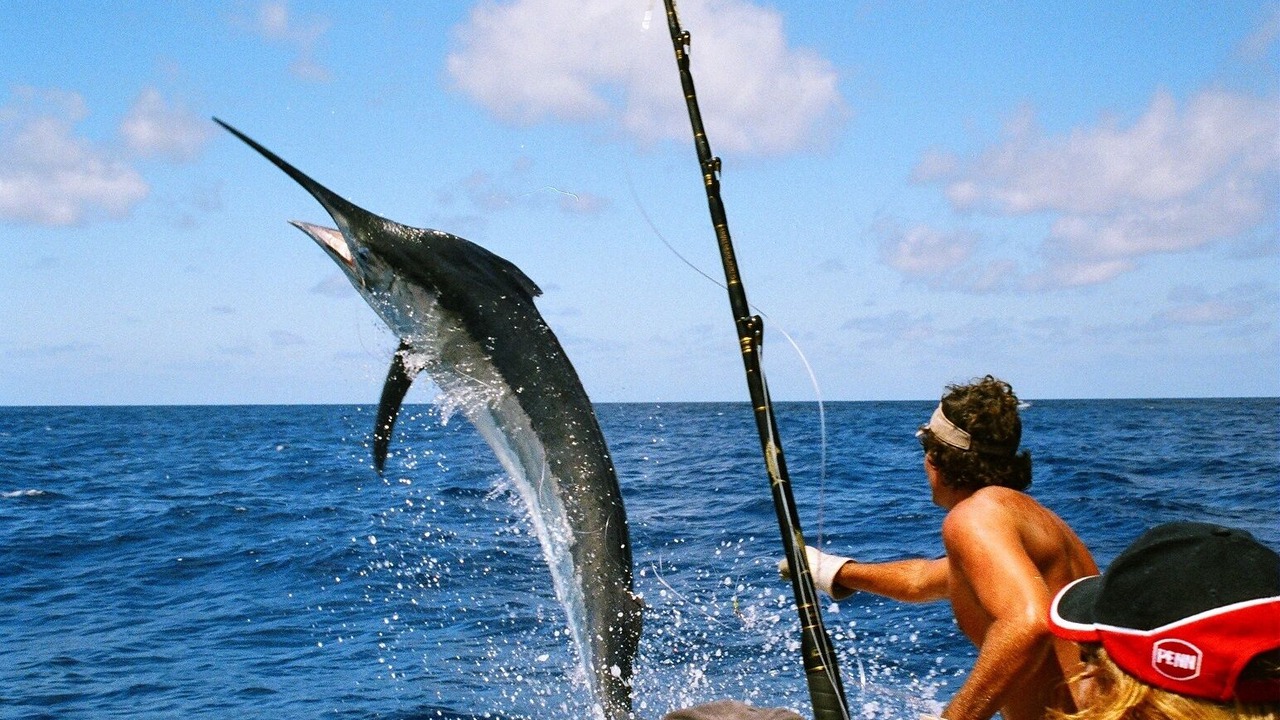 Photo of Others in Biloxi