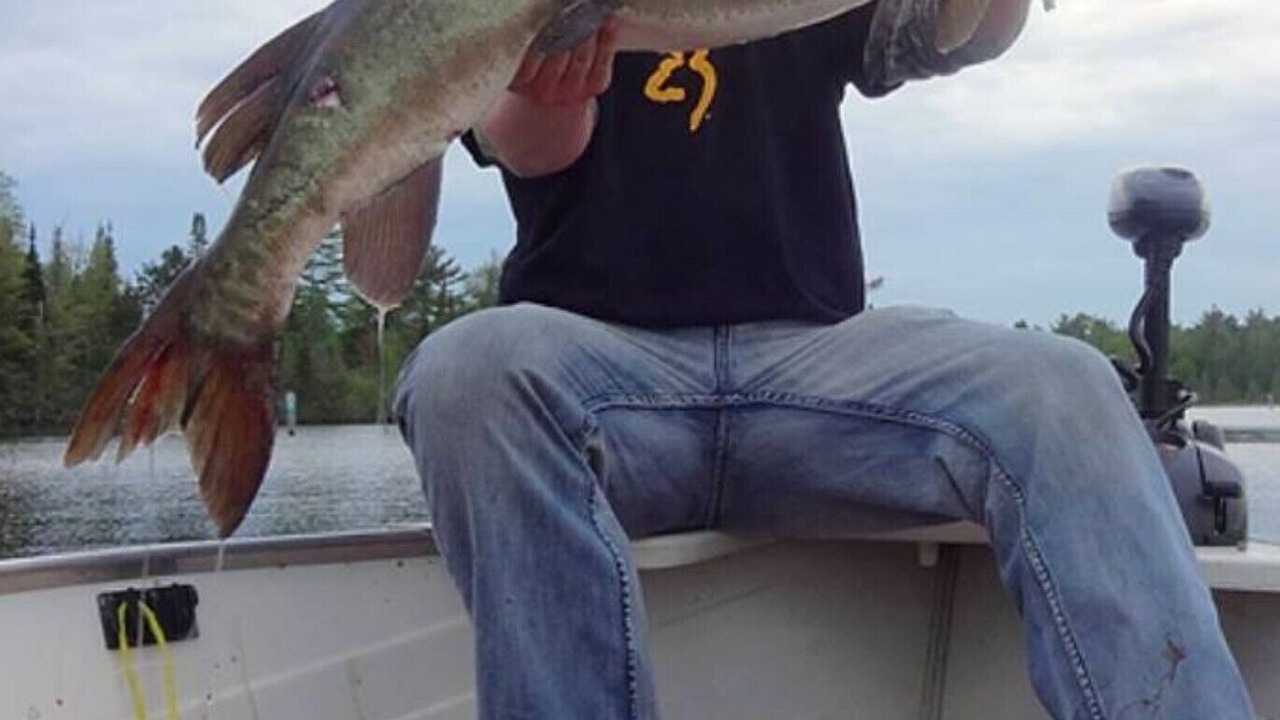 Photo of Others in Eagle River
