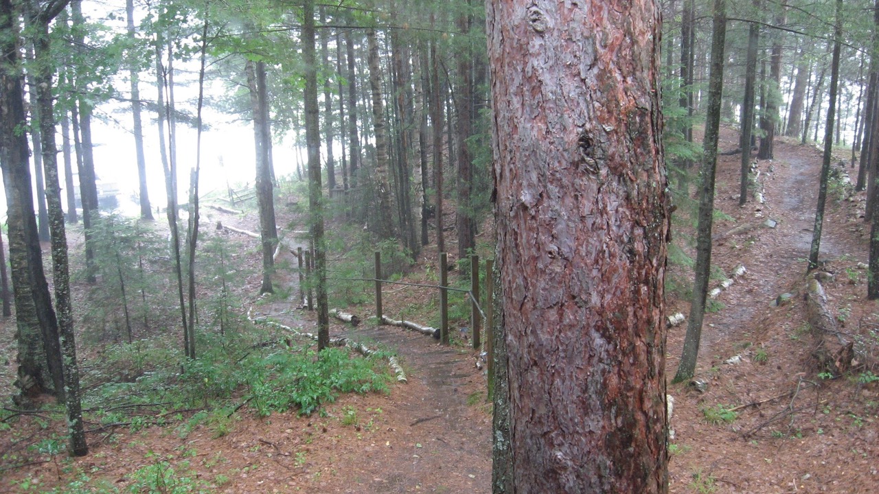 Photo of Outdoor in Tomahawk