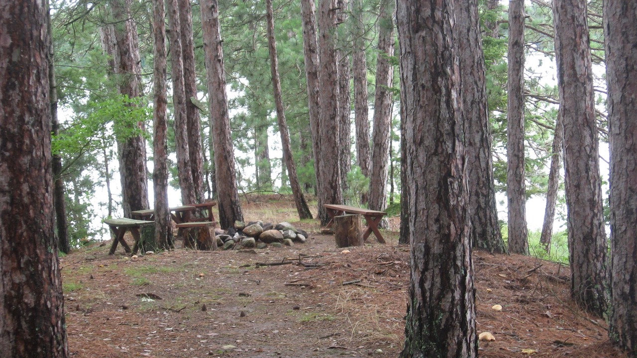 Photo of Outdoor in Tomahawk