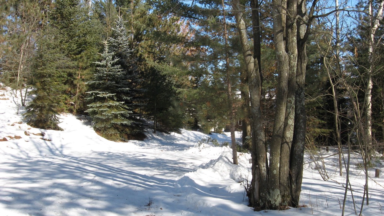 Photo of Outdoor in Tomahawk