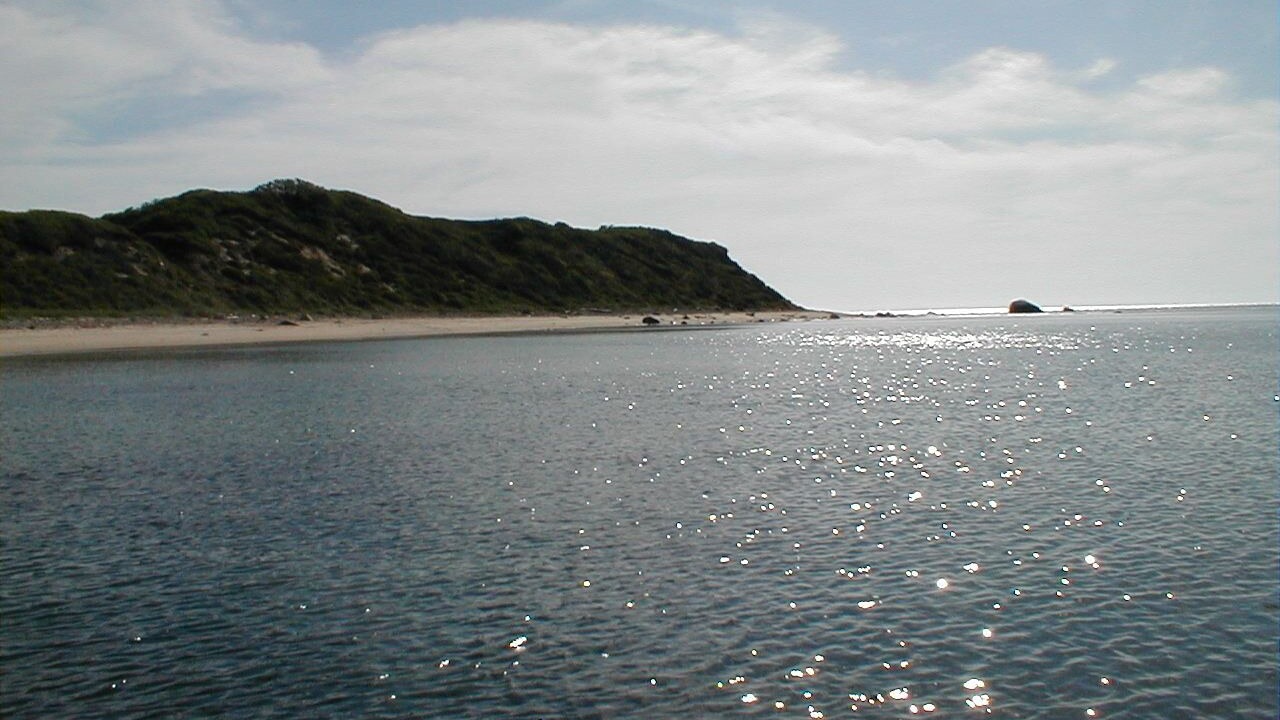 Photo of Others in Aquinnah