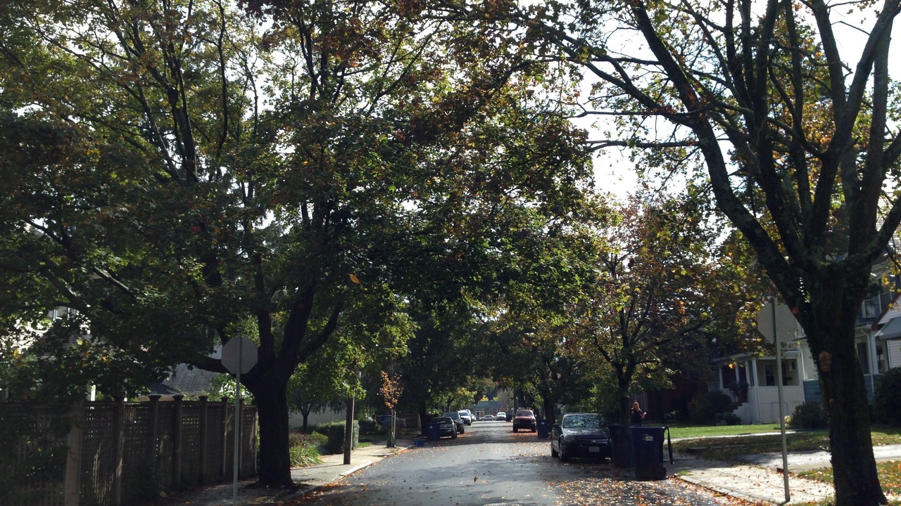 Photo of Outdoor in West Roxbury