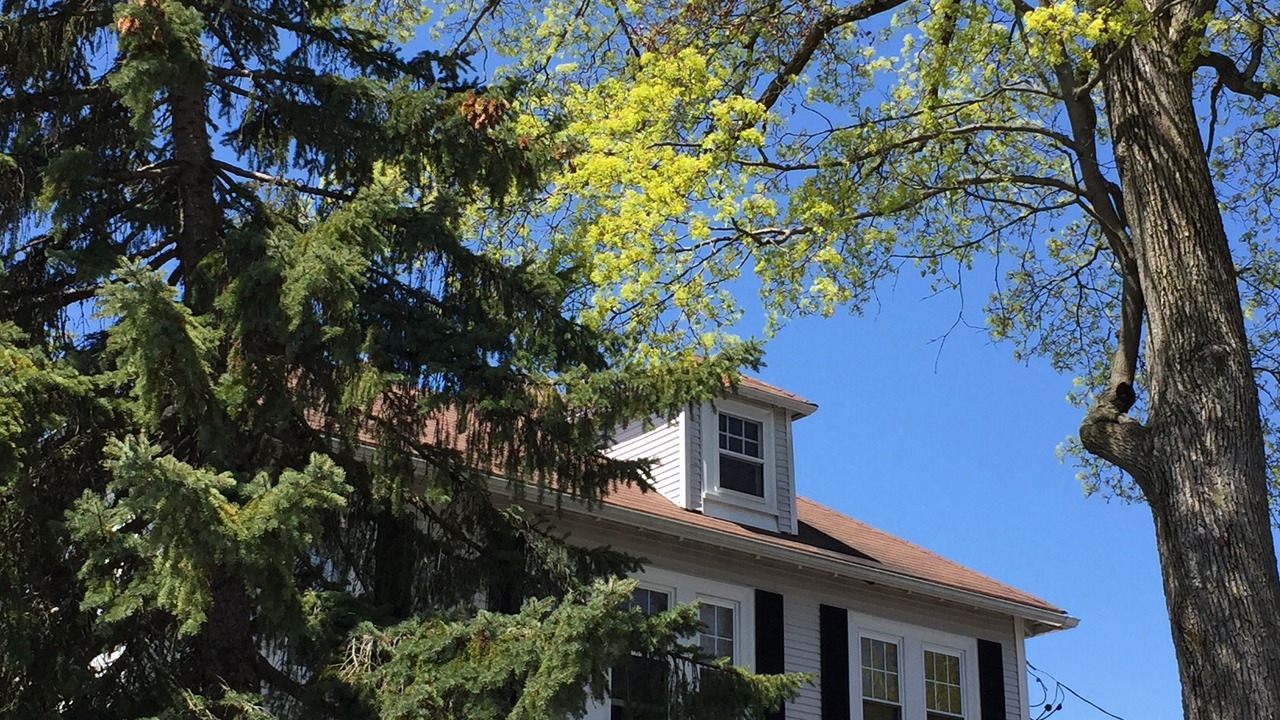 Photo of Outdoor in West Roxbury