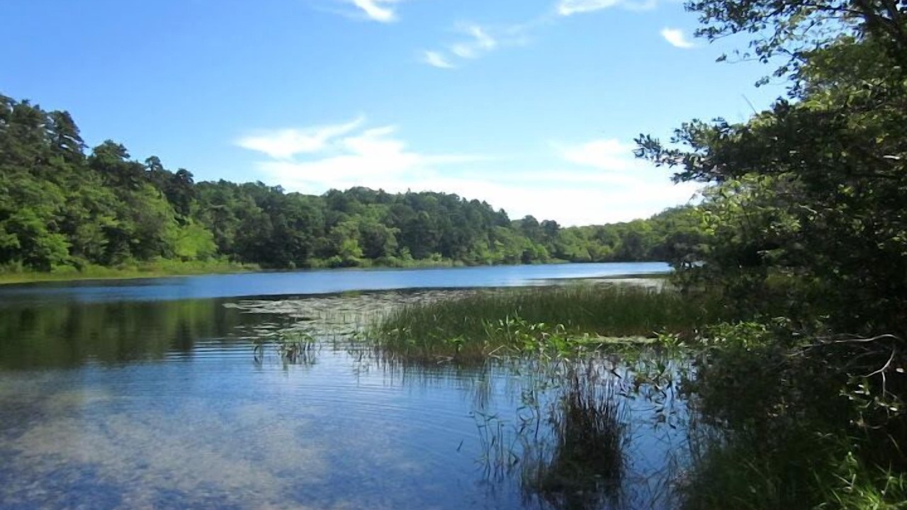 Photo of Others in Brewster