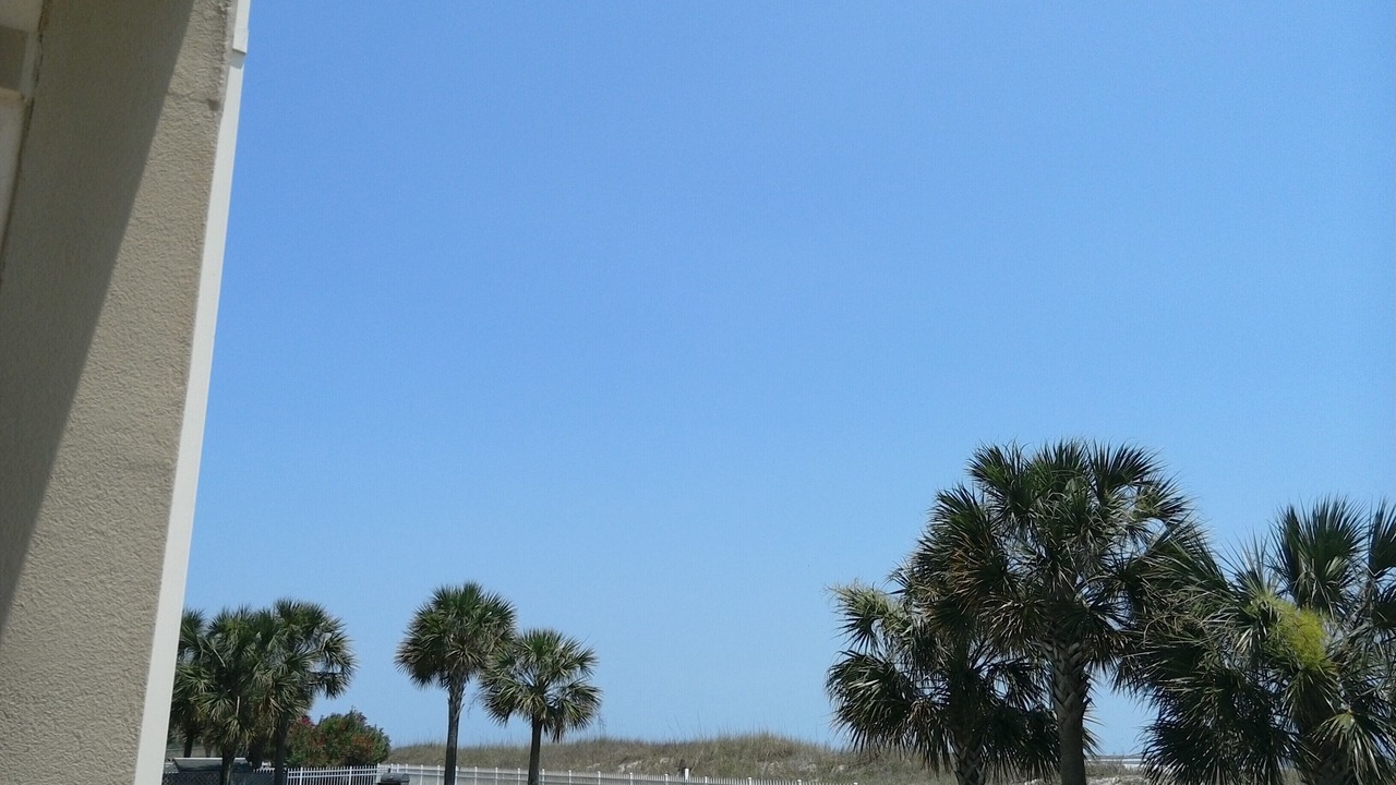 Photo of Others in Dauphin Island