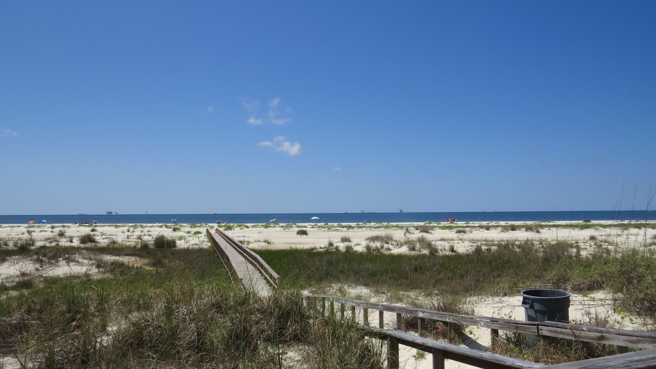 Photo of Others in Dauphin Island