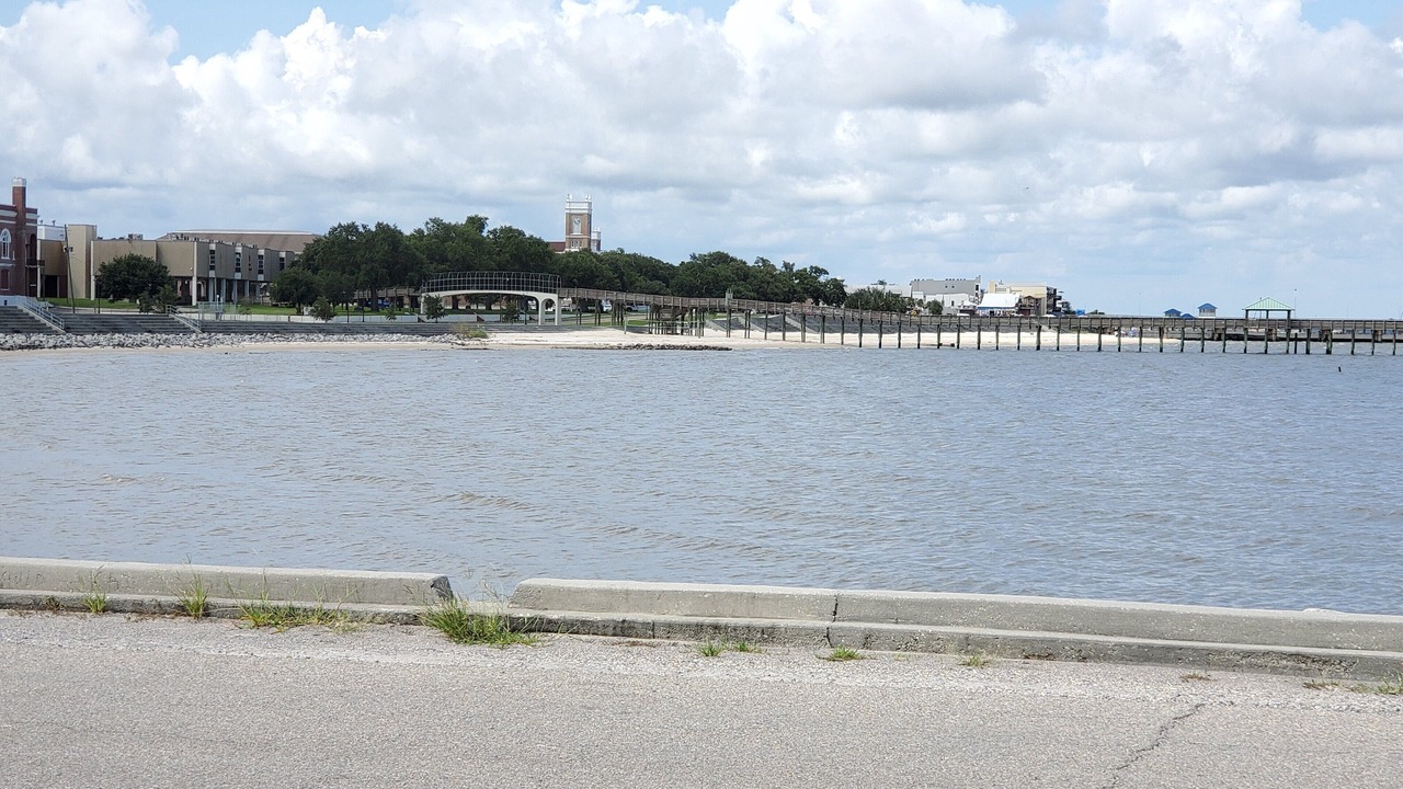 Photo of Others in Shoreline Park