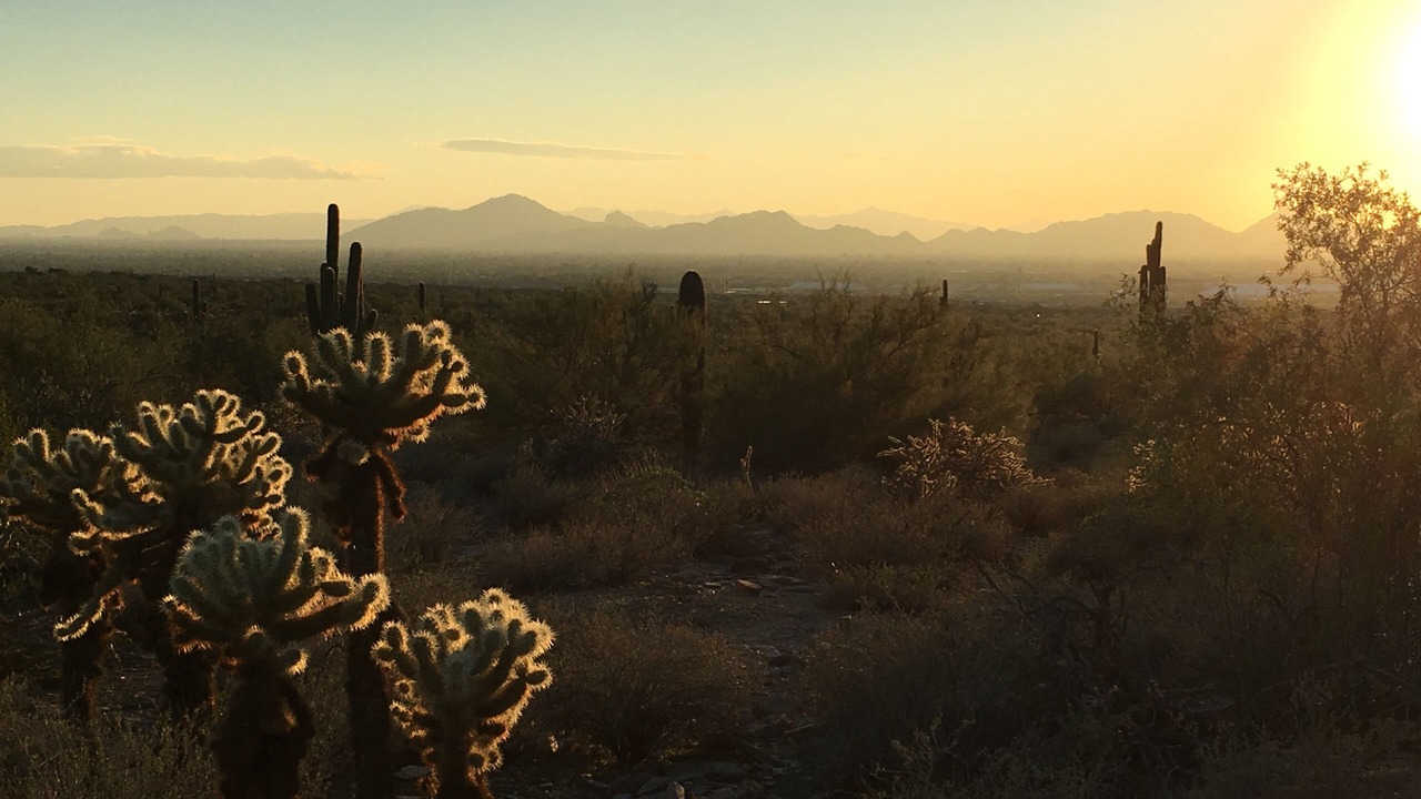 Photo of Others in Central Scottsdale
