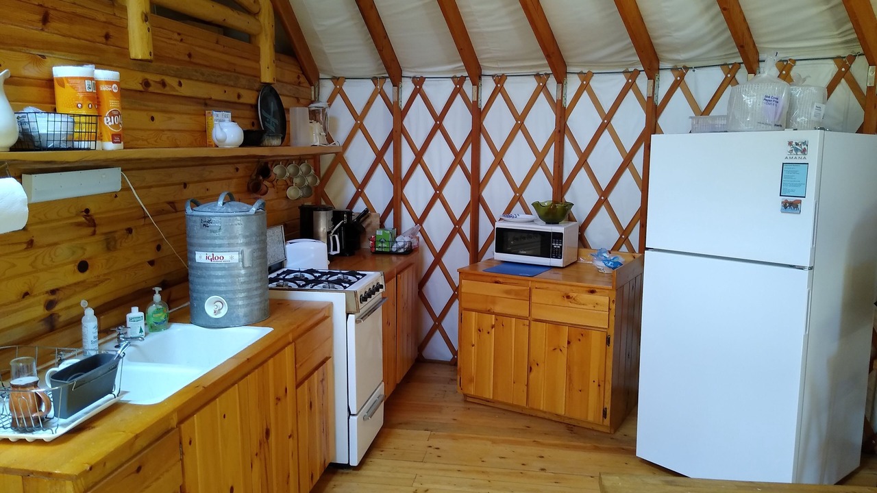 Photo of Kitchen in Ely